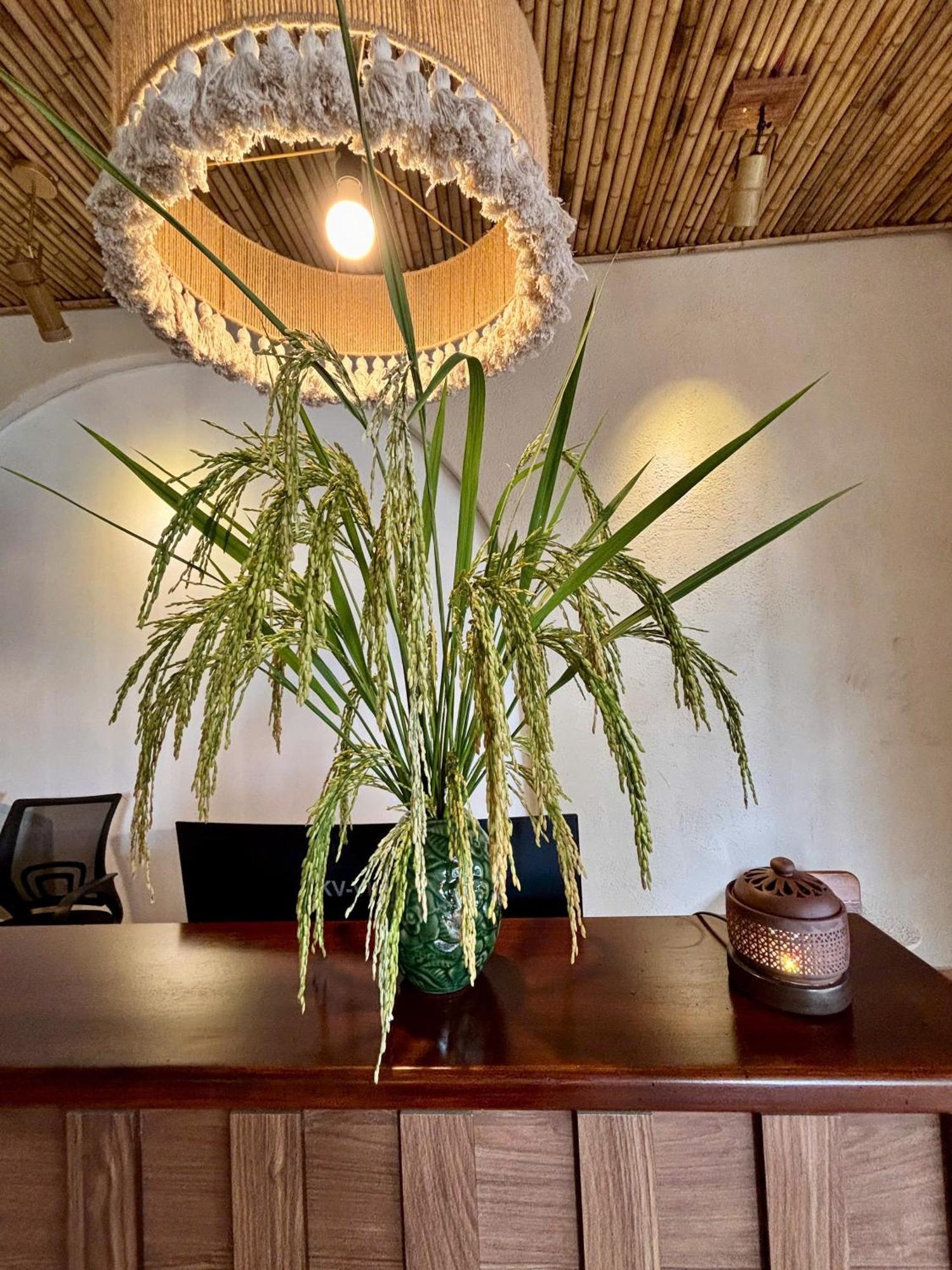 Truong Giang Boutique Hotel Lang Mon Luaran gambar
