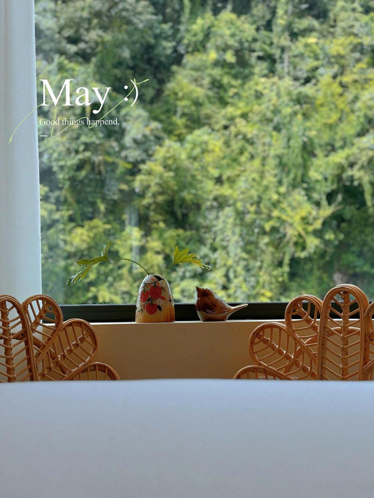 Truong Giang Boutique Hotel Lang Mon Luaran gambar